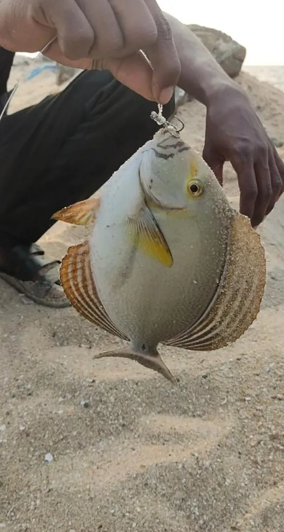 Kadal Beach House Marari Mararikulam